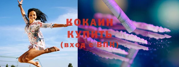 apvp Гусь-Хрустальный