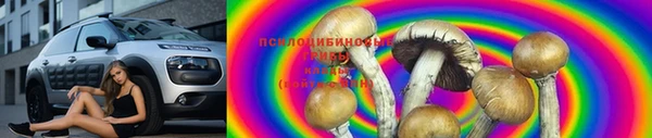 а пвп мука Гусев