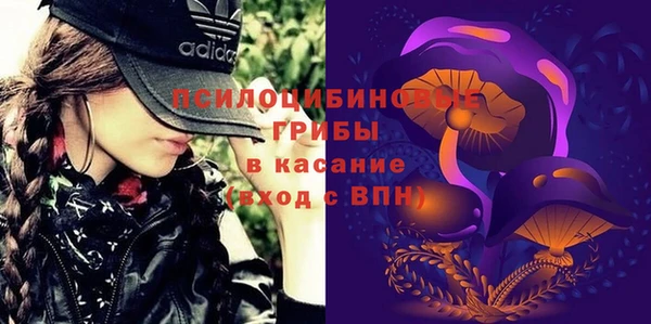 apvp Гусь-Хрустальный