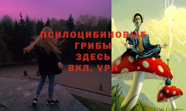apvp Гусь-Хрустальный