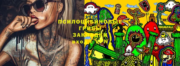 apvp Гусь-Хрустальный