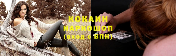 apvp Гусь-Хрустальный