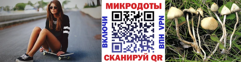 даркнет наркотические препараты Заволжск Псилоцибиновые грибы мухоморы где можно купить